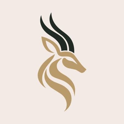 Strideza logo